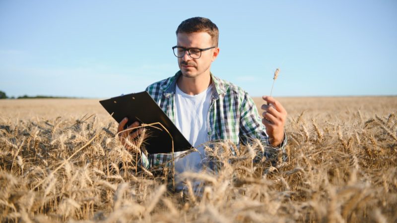 WhatsApp-Image-2025-10-30-at-23.46.55_653c870b